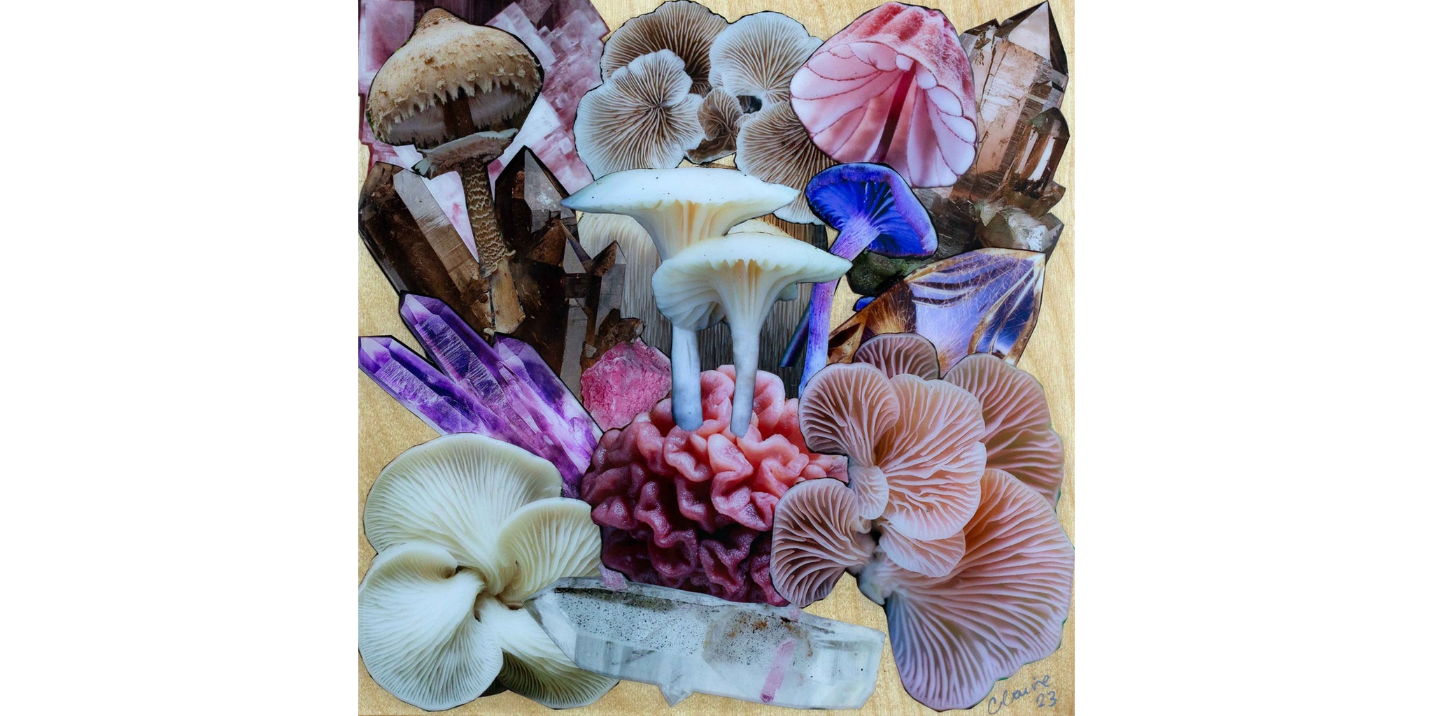 NUDI FUNGHI NUE