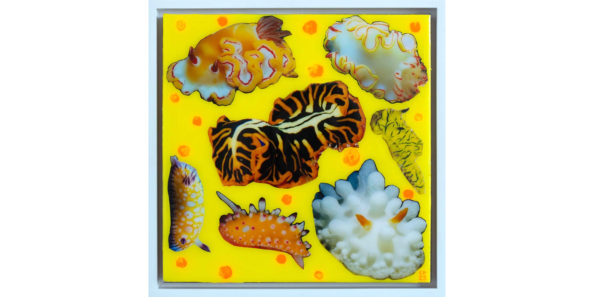NUDI JAUNE