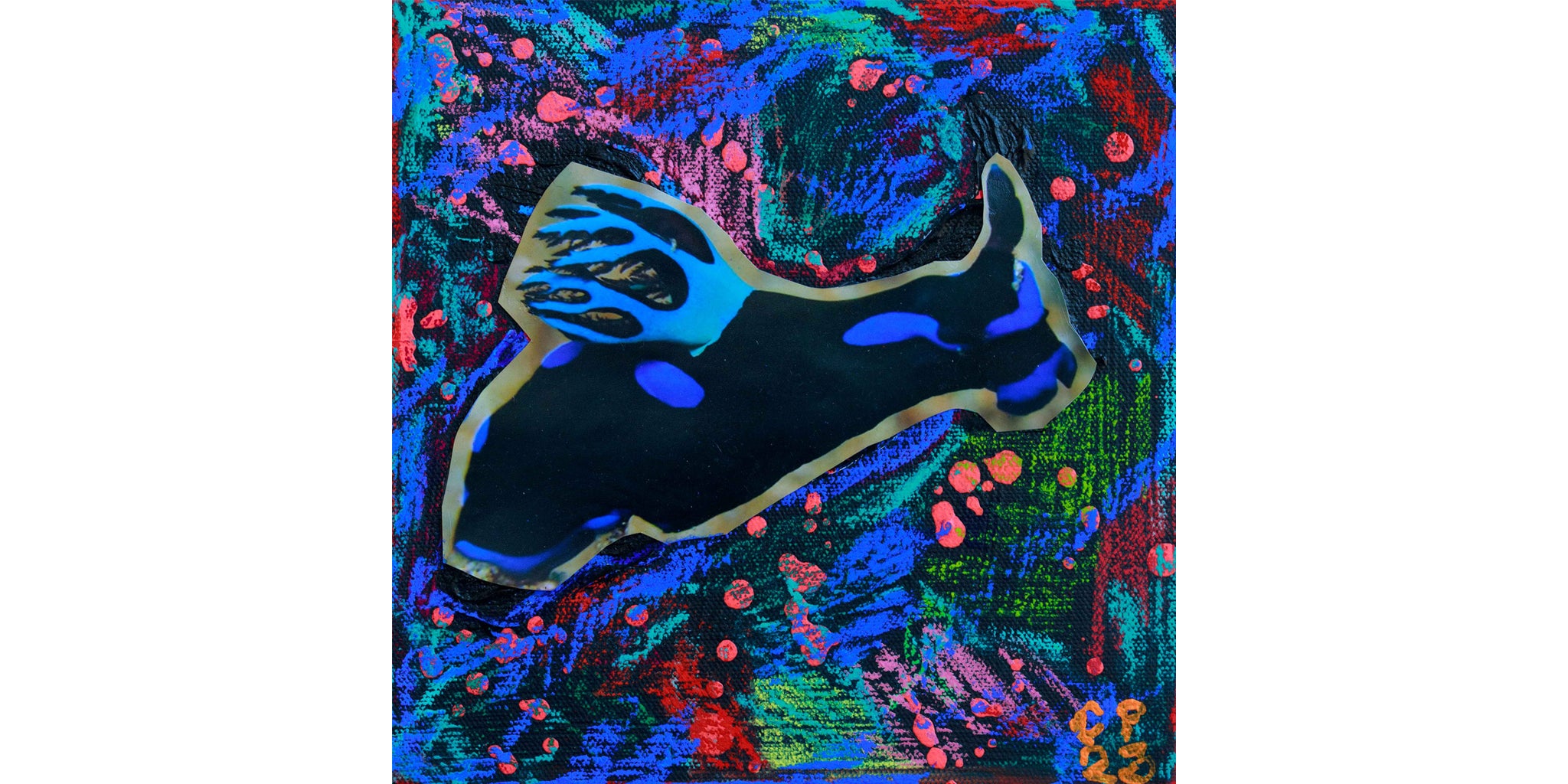 NUDI AQUA SERGE