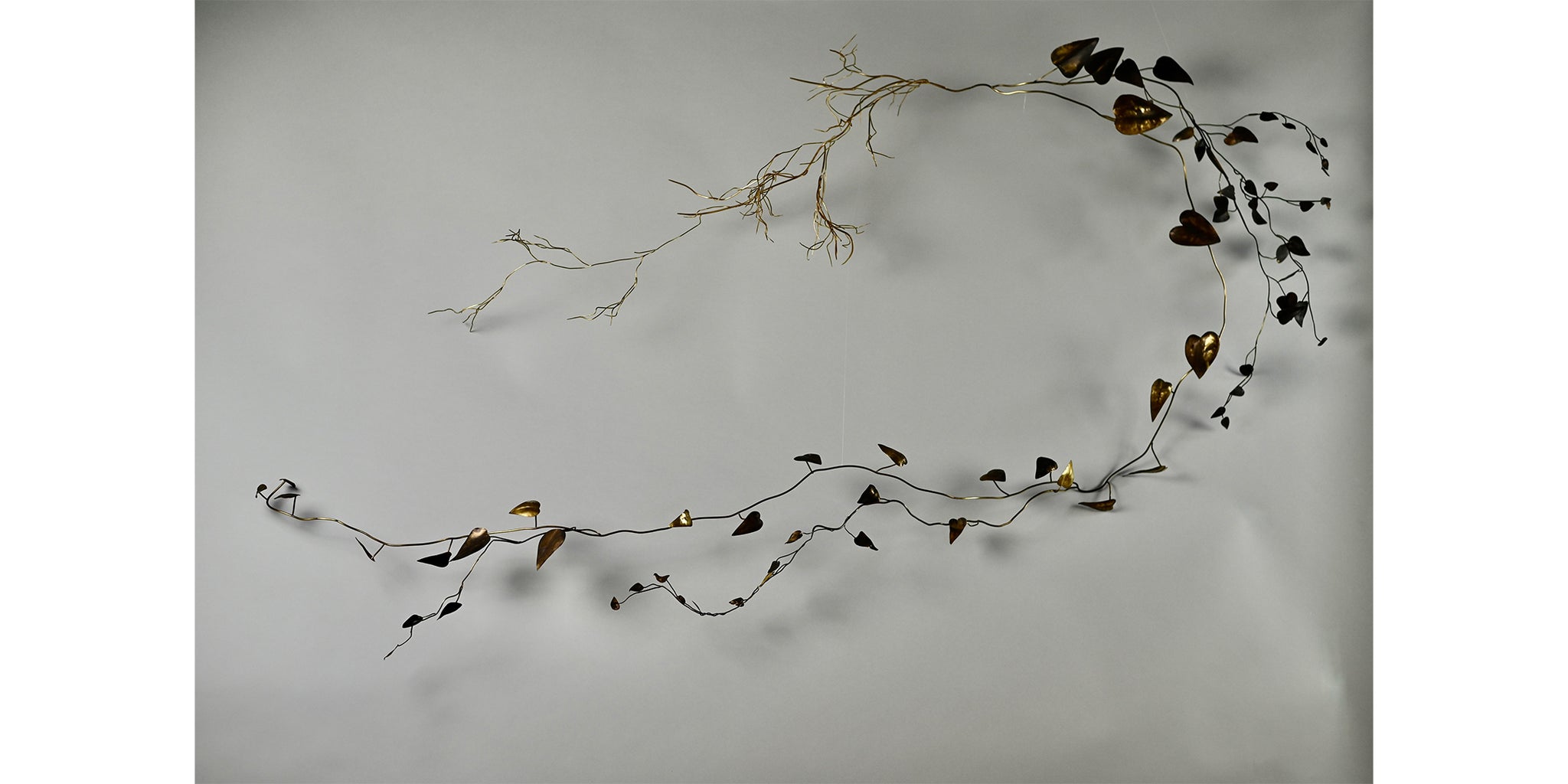Large Micron Vine
