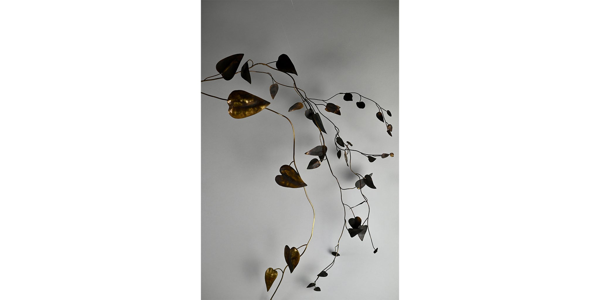 Large Micron Vine