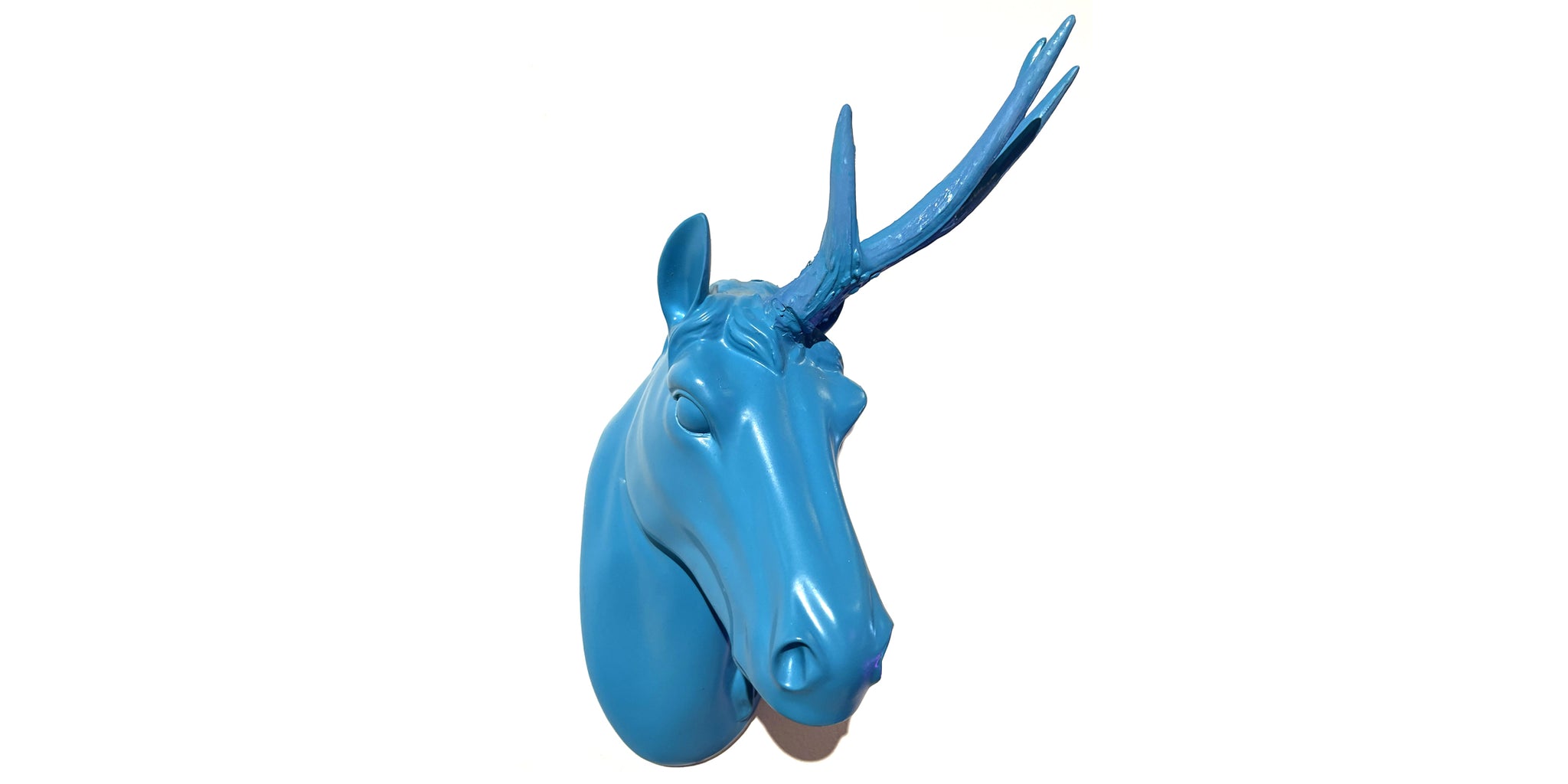 Unicorns Don’t Lose Sleep Over The Opinions Of Little Ponies