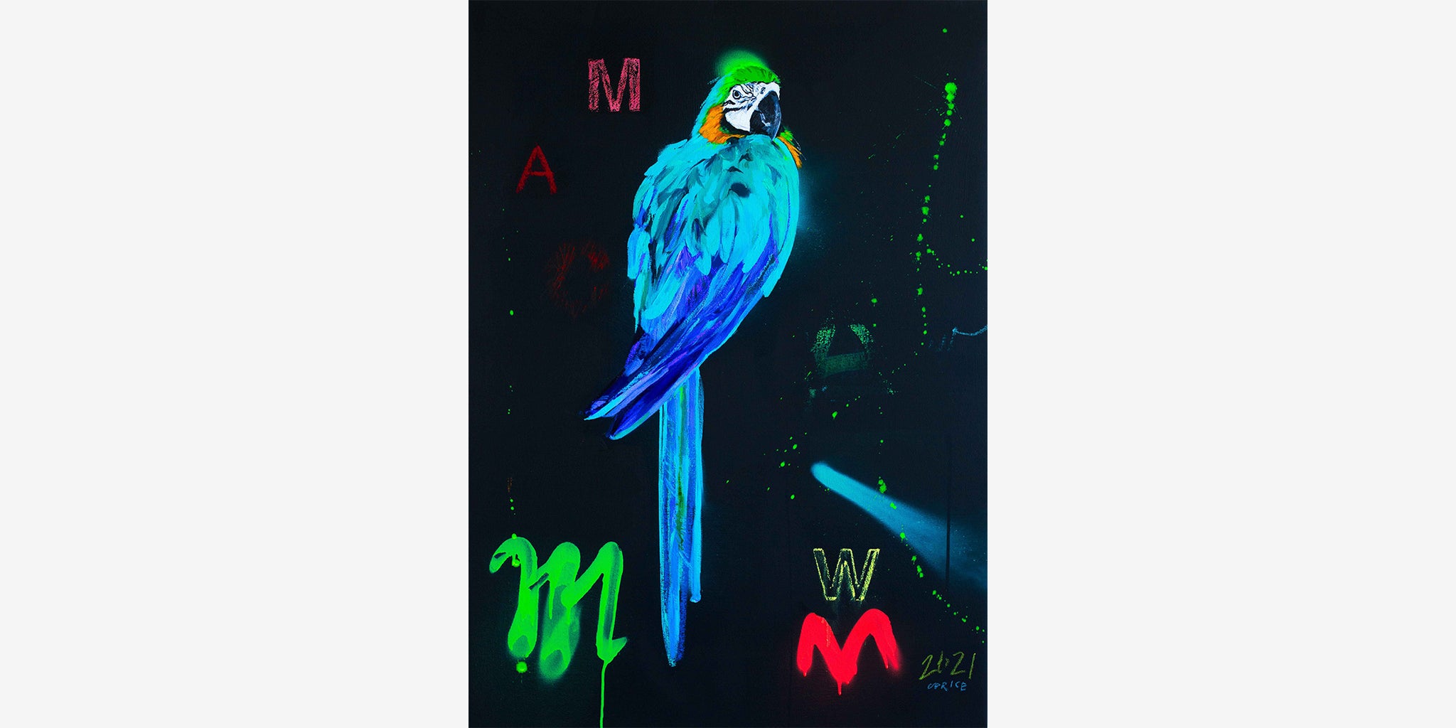 BLUE MACAW