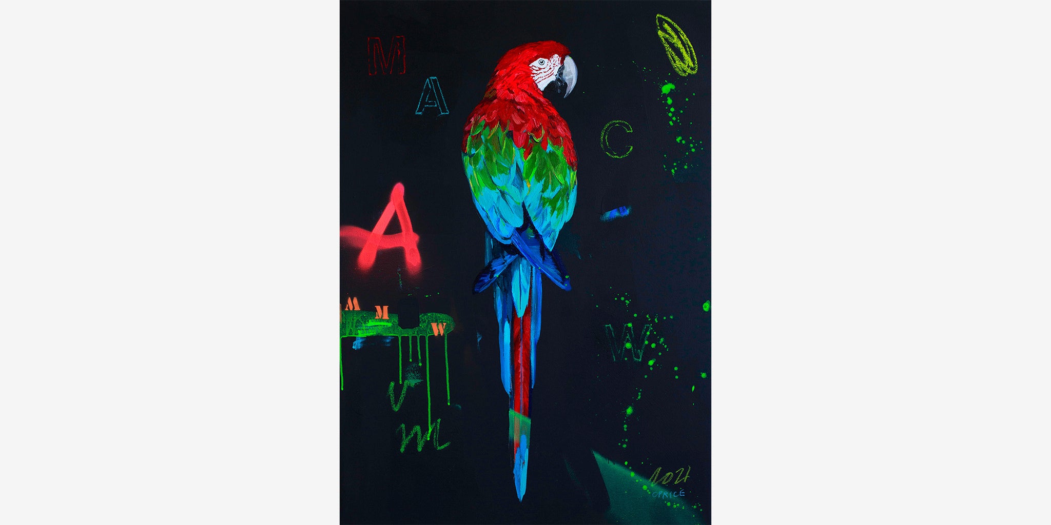 RED MACAW