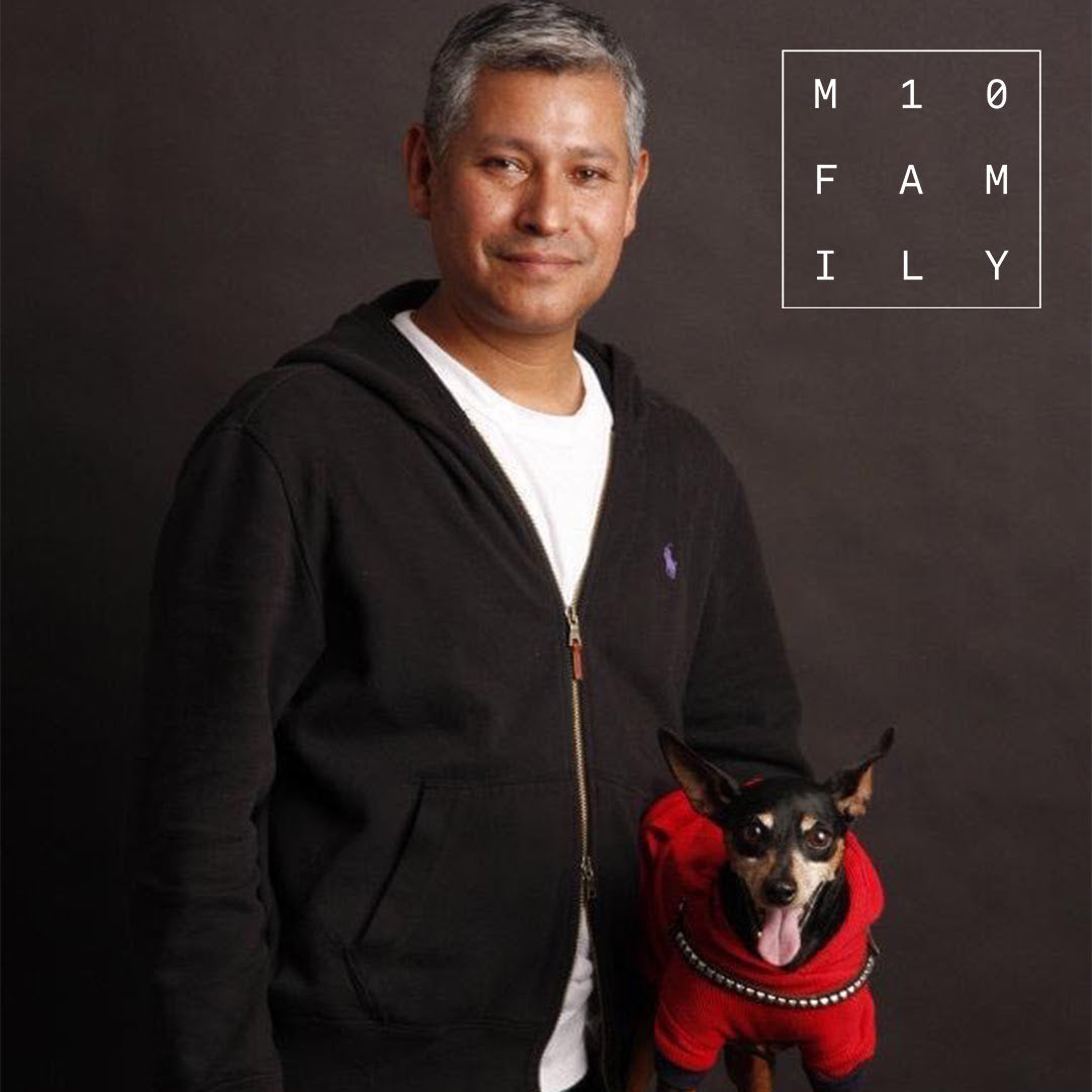 Dogs, possums, and a Manhattan gorilla rescue