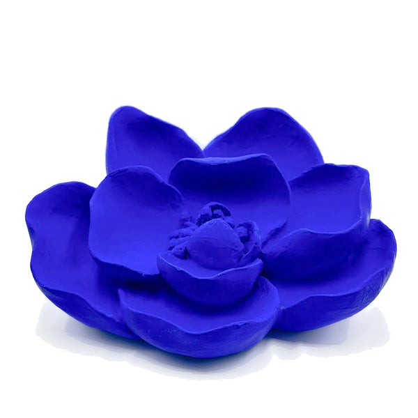 THERE ARE ALWAYS FLOWERS FOR  THOSE THAT WANT TO SEE THEM