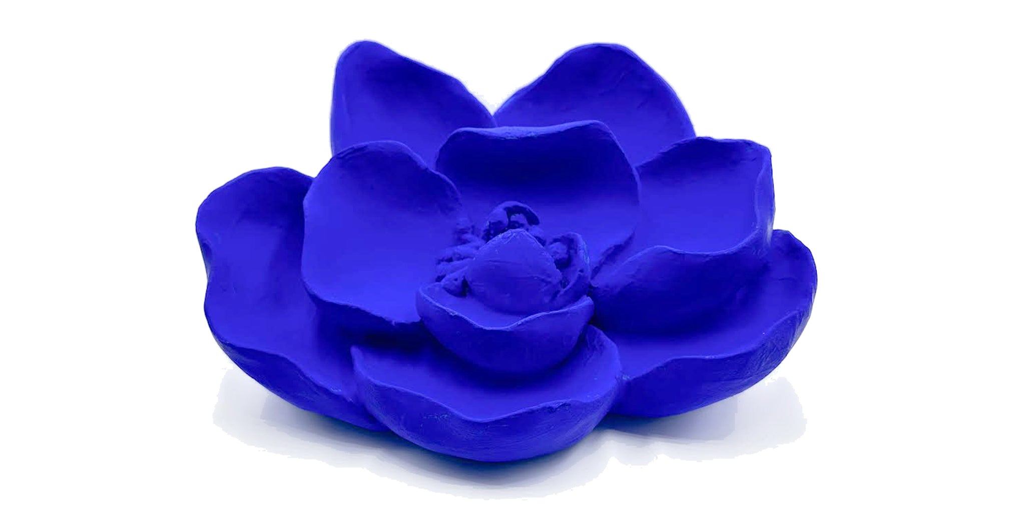 THERE ARE ALWAYS FLOWERS FOR  THOSE THAT WANT TO SEE THEM
