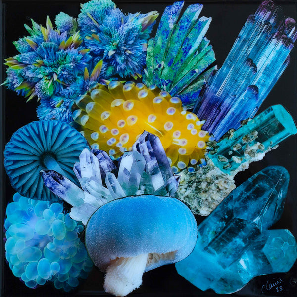 NUDI BLUE CRYSTAL