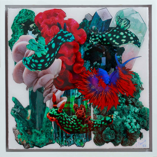 NUDI MALACHITE