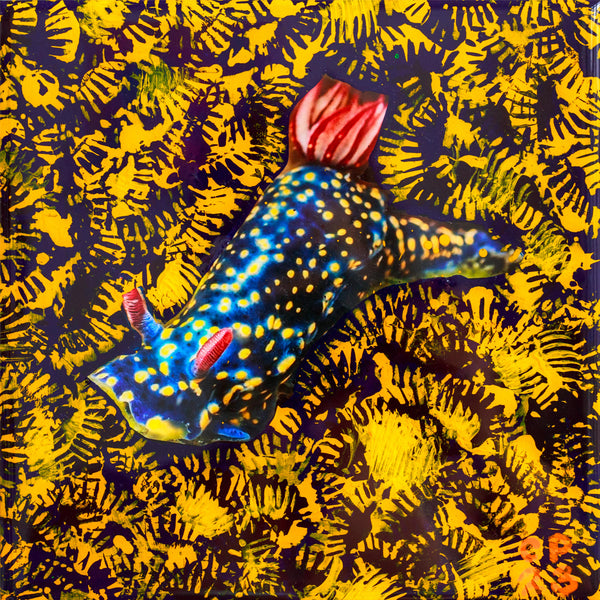 NUDI BATIK