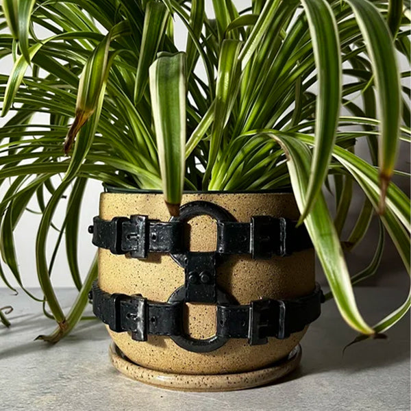 Harness Planter