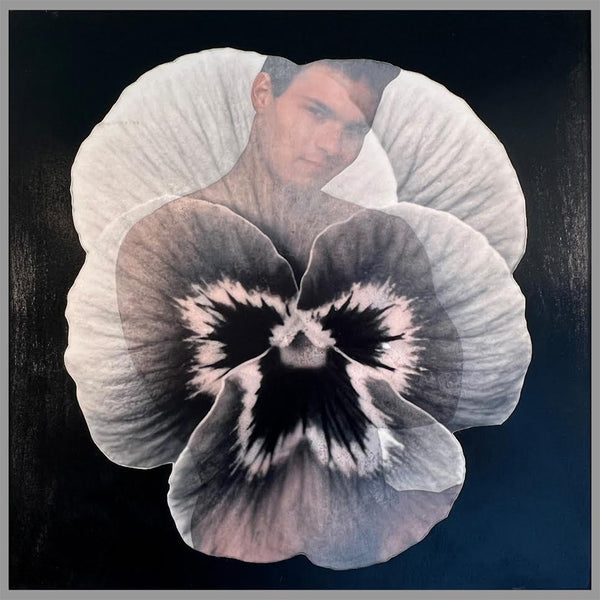 Smiling Pansy