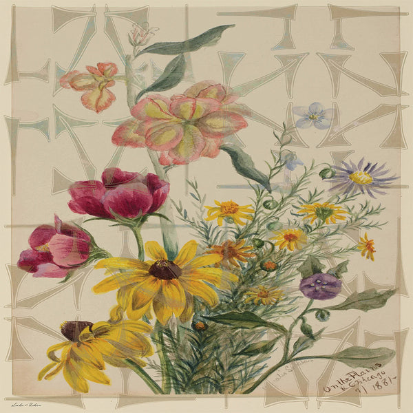 On the Planes + Chicago Scarf