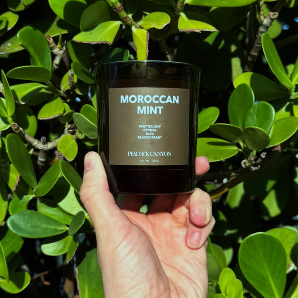 Moroccan Mint