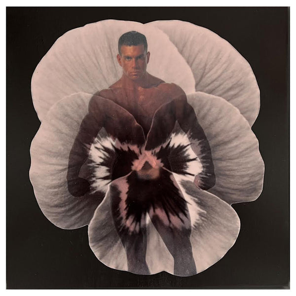 Muscle Love Pansy