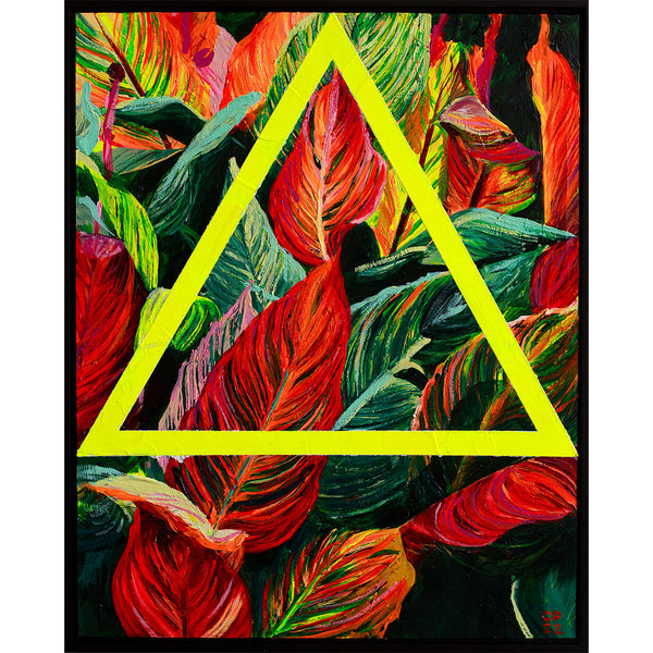 CANNA LILLIES