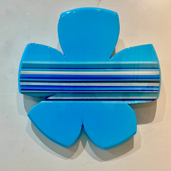 Baby Blue Daisy