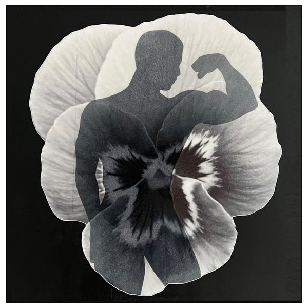 Bicep Silhouette Pansy