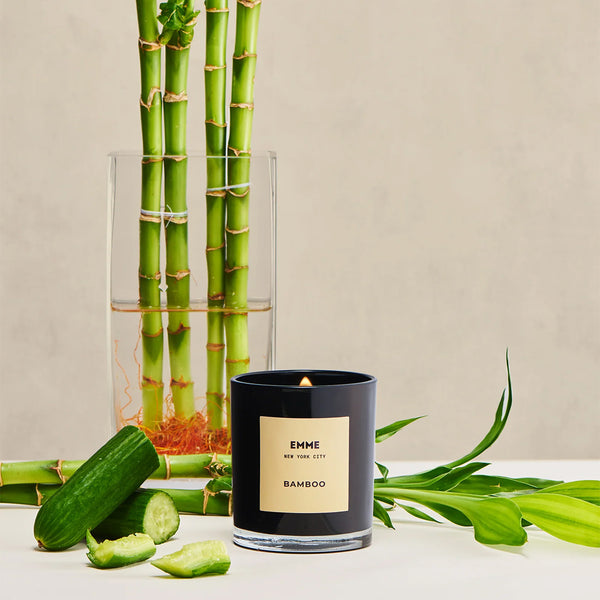 Bamboo