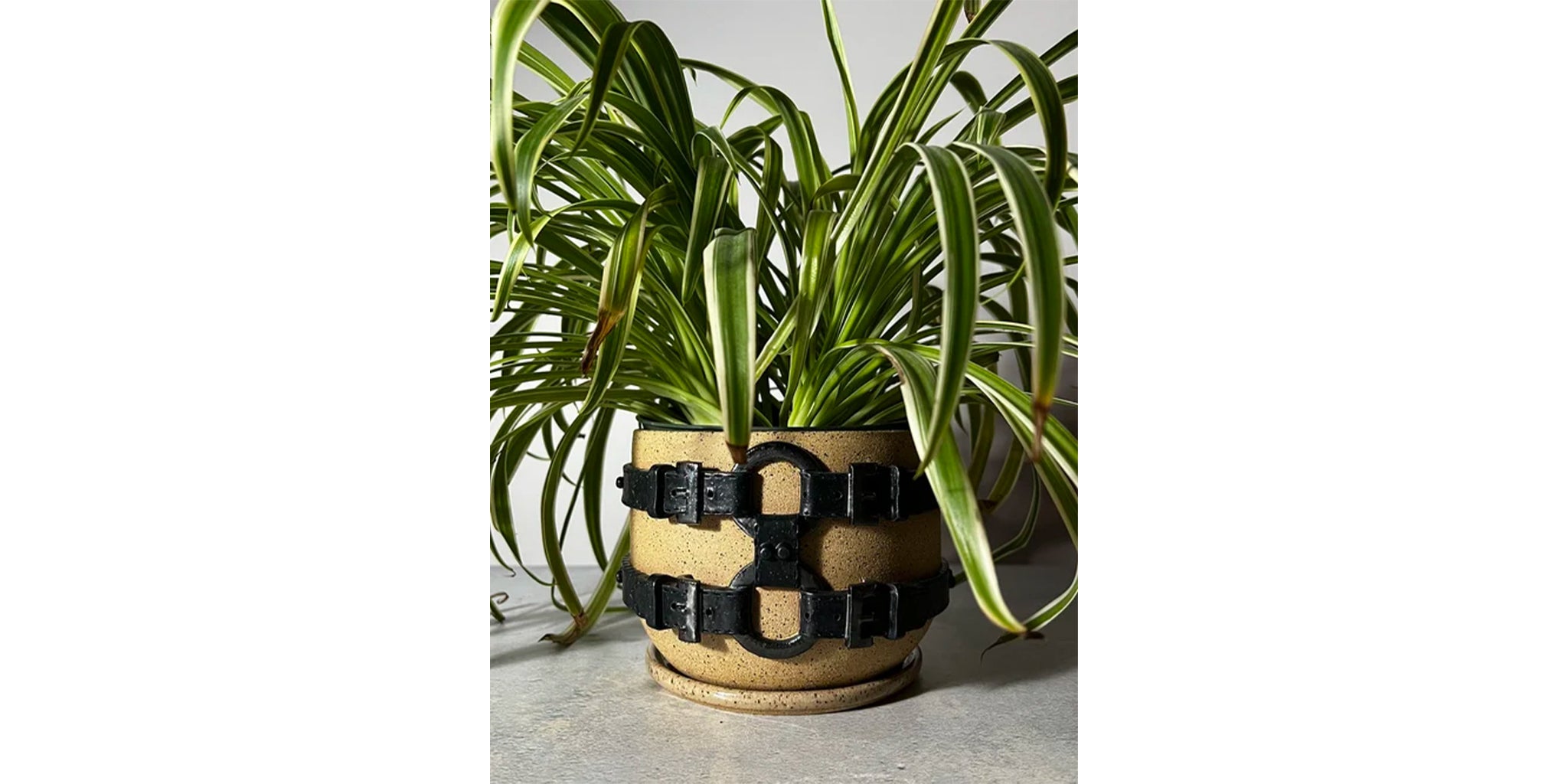 Harness Planter
