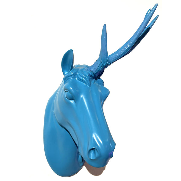 Unicorns Don’t Lose Sleep Over  The Opinions Of Little Ponies