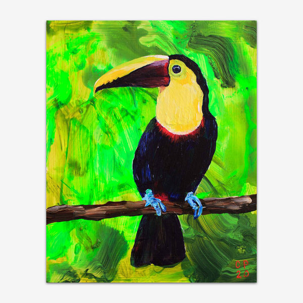 Toucan