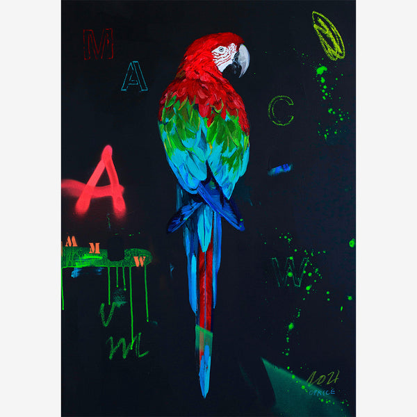 RED MACAW