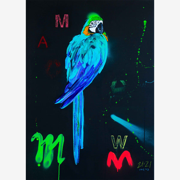 BLUE MACAW