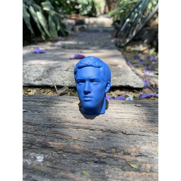 Maya Blue Head
