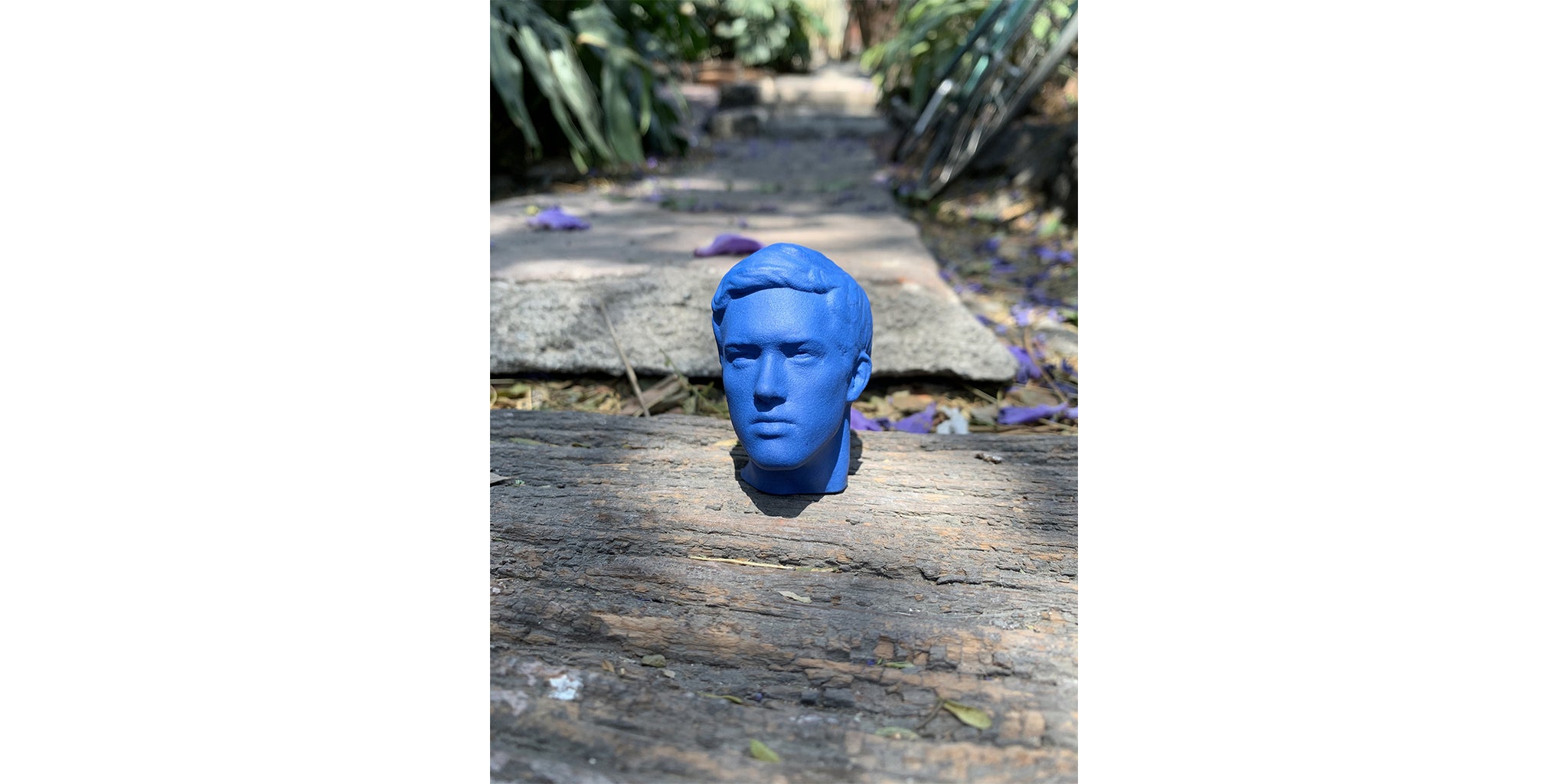 Maya Blue Head